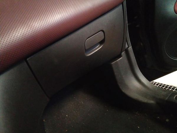 Glove compartment flap FIAT PUNTO EVO (199_)