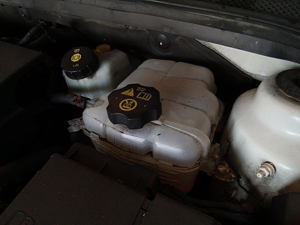 Zbiornik wyrównawczy układu chłodzenia CHEVROLET CRUZE Hatchback (J305)
