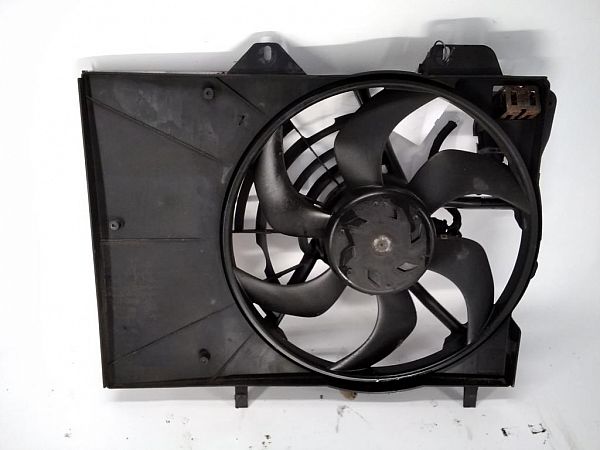 Radiator fan electrical PEUGEOT 207 SW (WK_)