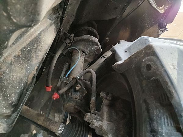 Federbein vorn SUZUKI CELERIO (LF)