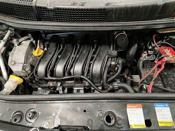 Motor RENAULT SCÉNIC II (JM0/1_)