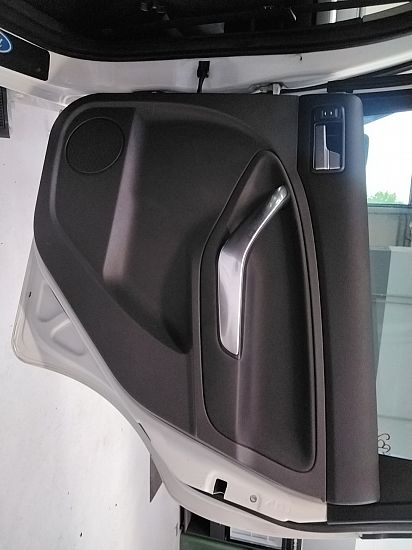 Side coverings FORD C-MAX (DM2)