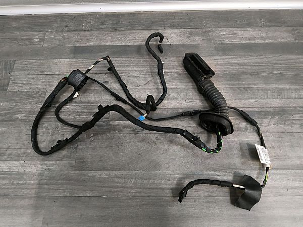Kabelbaum für Tür BMW 3 Gran Turismo (F34)
