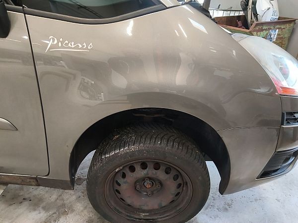 Front wing right CITROËN C4 Picasso I MPV (UD_)
