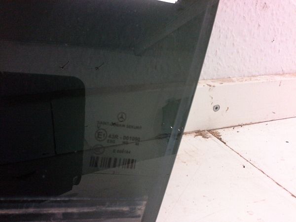 Rear door window