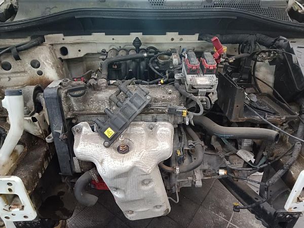 Motor