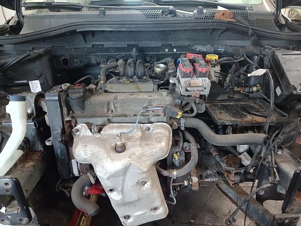 Motor