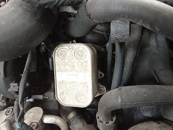 Ölfilterstutzen SKODA FABIA II Combi (545)