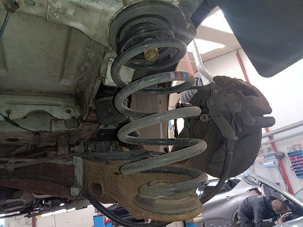 Spiralfeder hinten PEUGEOT EXPERT Box (V_)