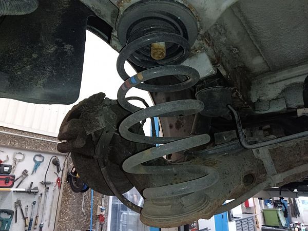 Spiralfeder hinten PEUGEOT EXPERT Box (V_)