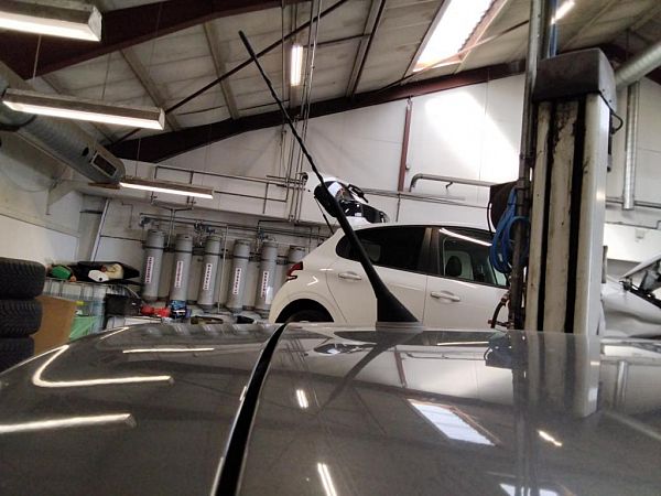 Antenne Fiat 500 2012+ - Mât Caoutchouc Noir 200mm - Remplacement OEM 52019353, 51910790