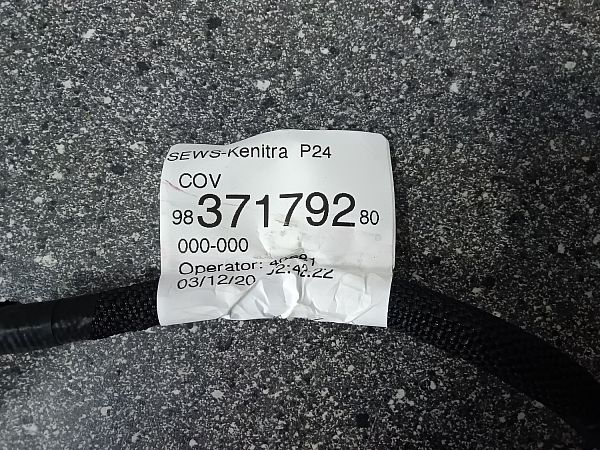 Kabelbaum hinten PEUGEOT 2008 II (UD_, US_, UY_, UJ_, UR_, UC_)