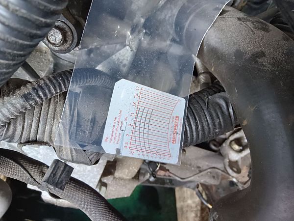 Motor NISSAN QASHQAI / QASHQAI +2 I (J10, NJ10, JJ10E)