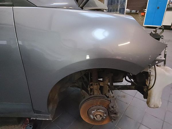 Forskærm højre RENAULT GRAND SCÉNIC III (JZ0/1_)