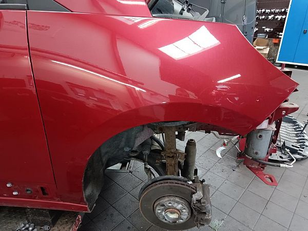 Forskærm højre RENAULT SCÉNIC III (JZ0/1_)