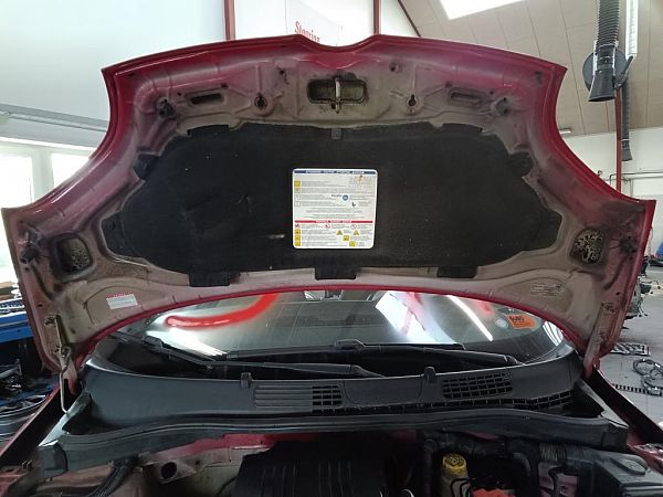 Front bonnet FIAT PANDA (312_, 319_)