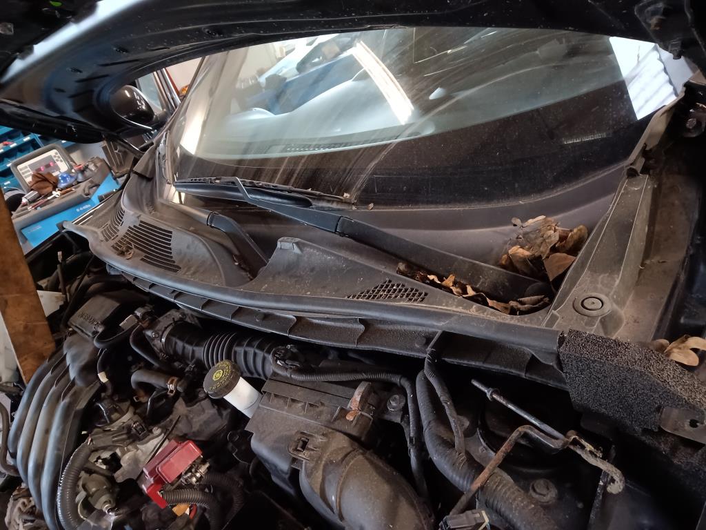 Nissan - Podszybie - maskownica | Autoparts24
