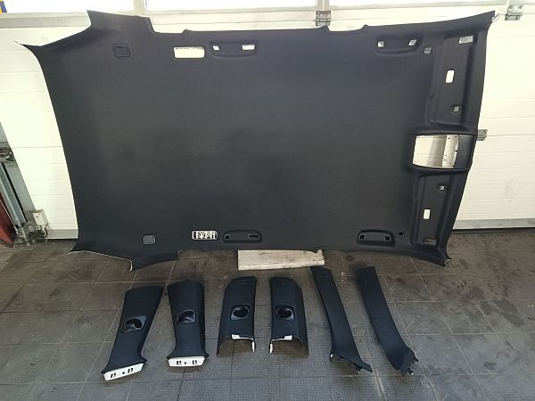 Himmel BMW X5 (F15, F85)