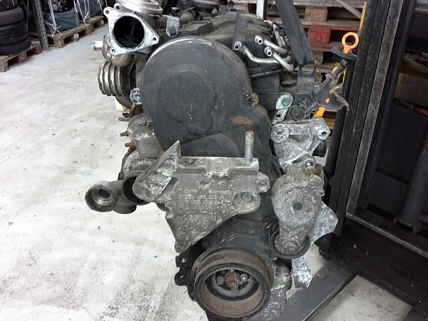 Motor VW TOURAN (1T1, 1T2)