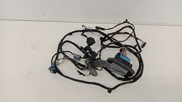 Kabelbaum für Tür BMW 5 (F10)