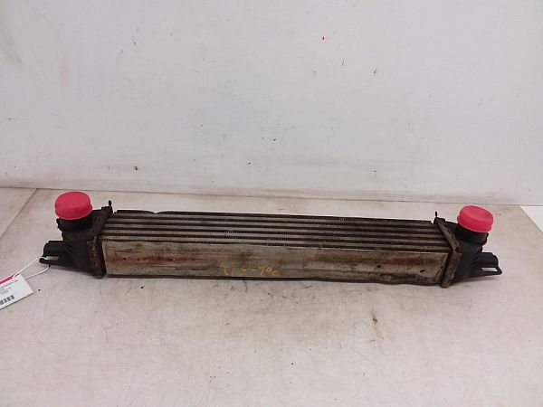 Heating element PEUGEOT BIPPER (AA_)