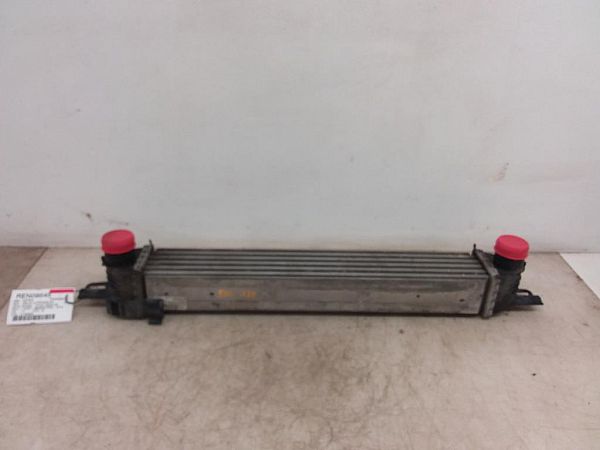 Heating element PEUGEOT BIPPER (AA_)