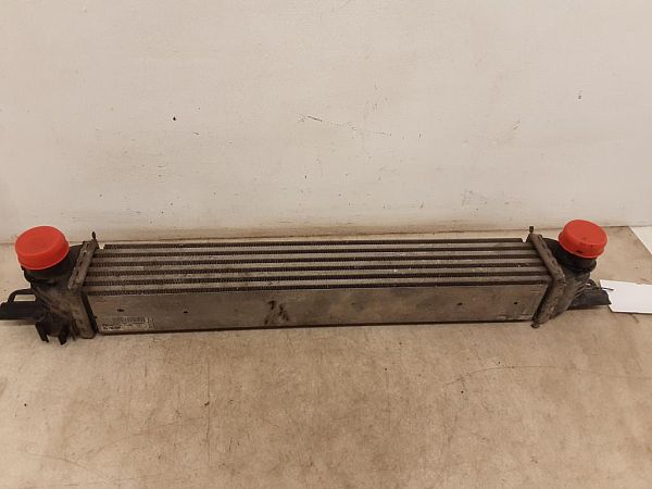 Heating element PEUGEOT BIPPER (AA_)