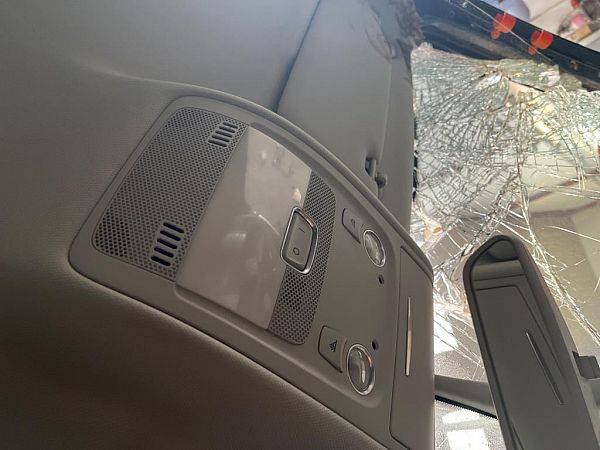 Ceiling light AUDI A5 Sportback (8TA)