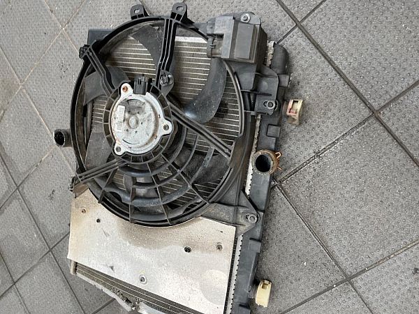Radiator fan electrical CITROËN C3 II (SC_)