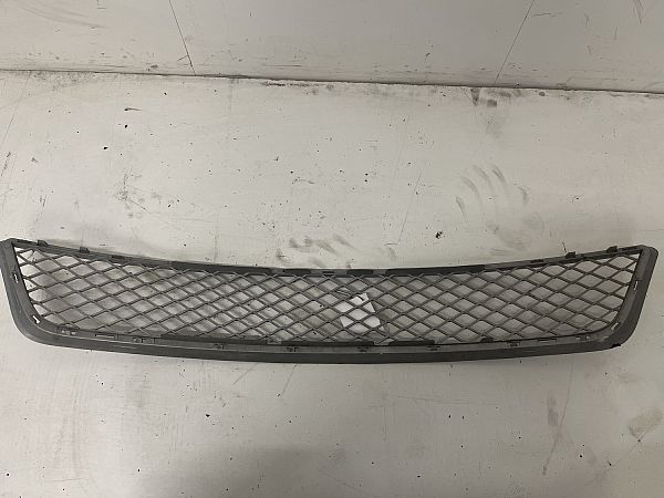 Bumper grille BMW X5 (E70)