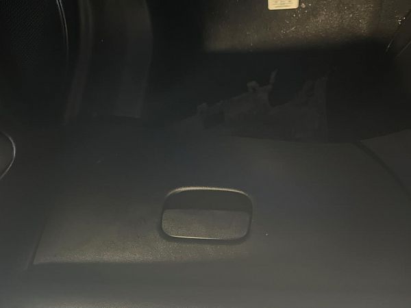 Glove compartment flap FIAT PUNTO (199_)