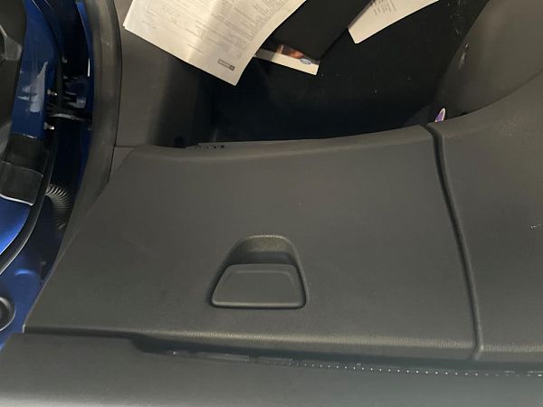Glove compartment flap FORD FIESTA VI (CB1, CCN)