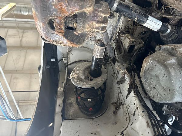Fjederben for CITROËN BERLINGO Box (B9)