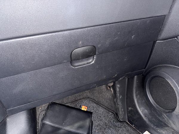 Handskerumsklap NISSAN QASHQAI / QASHQAI +2 I (J10, NJ10, JJ10E)