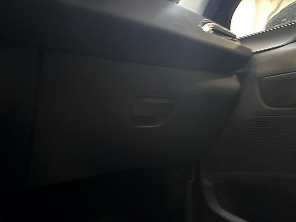 Handskerumsklap PEUGEOT 208 I (CA_, CC_)