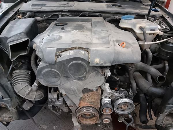 Motor AUDI A6 (4F2, C6)