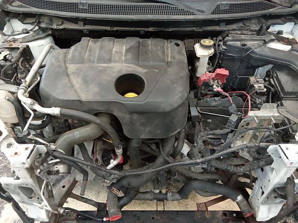 Motor