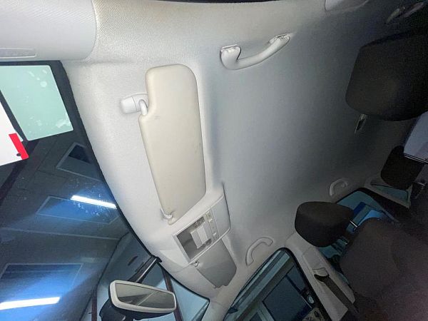 Ceiling cover VW POLO (6R1, 6C1)