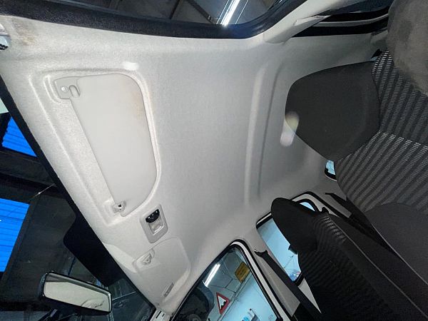 Ceiling cover PEUGEOT 107 (PM_, PN_)