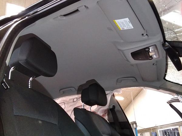 Ceiling cover BMW 5 Touring (F11)