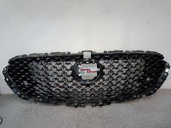 Kølergitter MAZDA CX-30 (DM)