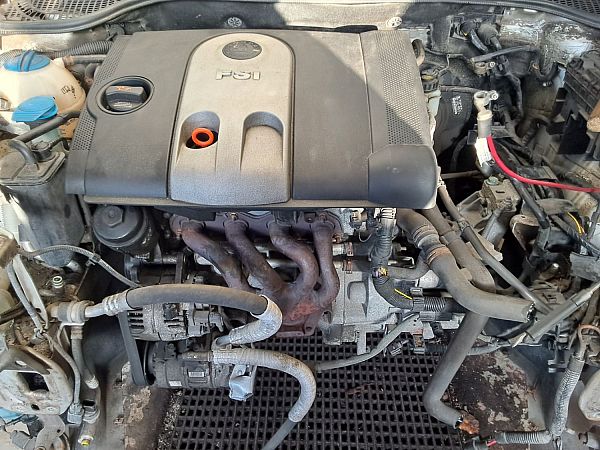 Motor SKODA OCTAVIA II (1Z3)