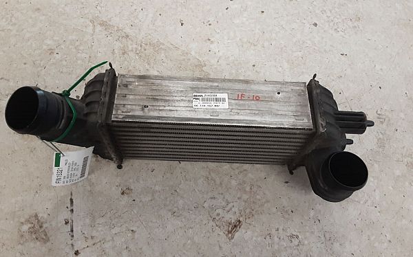 Heating element PEUGEOT 3008 MPV (0U_)