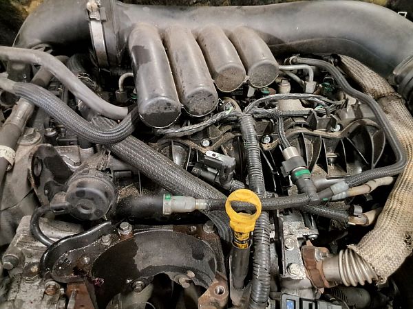 Motor LAND ROVER FREELANDER 2 (L359)