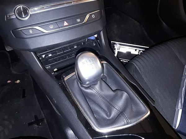 Support de Palier pour Boites 6 Vitesses PEUGEOT 308 SW II (LC_, LJ_, LR_, LX_, L4_)