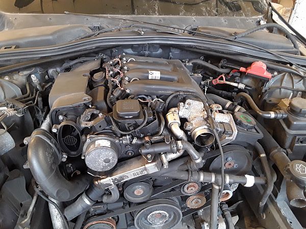 Engine BMW 5 Touring (E61)