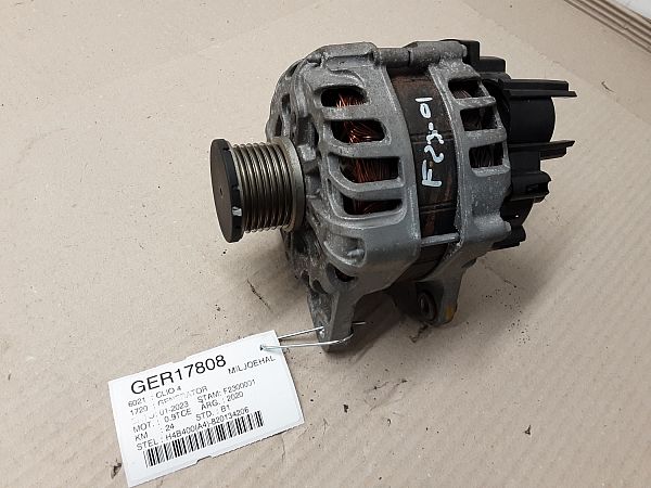 231005300R : Lichtmaschine - Autoparts24