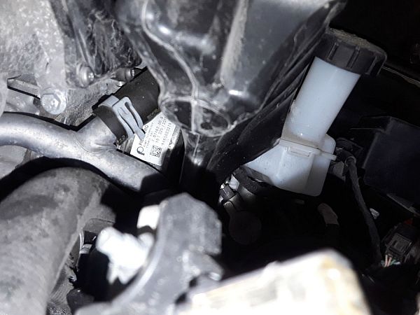 Unterdruckpumpe RENAULT CAPTUR II