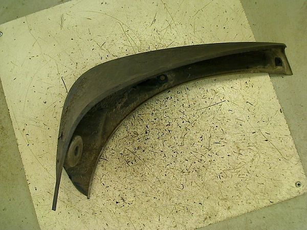 Regen-, modderbescherming wielkasten NISSAN QASHQAI / QASHQAI +2 I (J10, NJ10, JJ10E)