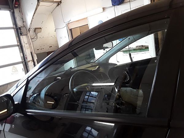 Door window screen HONDA CIVIC VIII Hatchback (FN, FK)